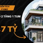 thiết kế nhà 2 tầng 1 tum