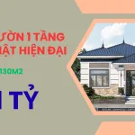 thiết kế nhà cấp 4 mái Nhật