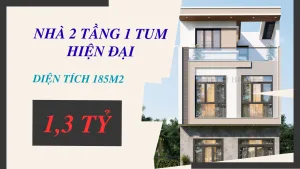 mẫu nhà 2 tầng 1 tum hiện đại