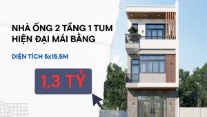 thiết kế nhà phố 2 tầng 1 tum